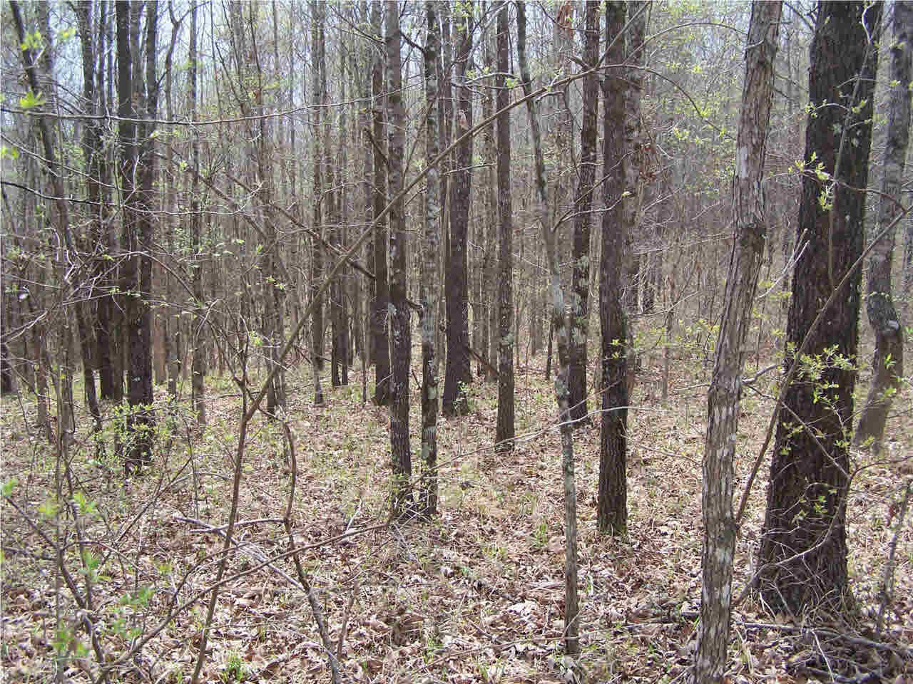 1 Damascus Church Road Durant, MS 39063 - Photo 24 of 24 Photo 24
