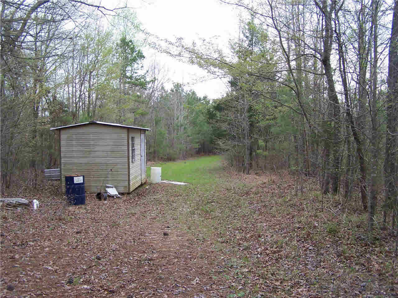 1 Damascus Church Road Durant, MS 39063 - Photo 3 of 24 Photo 3