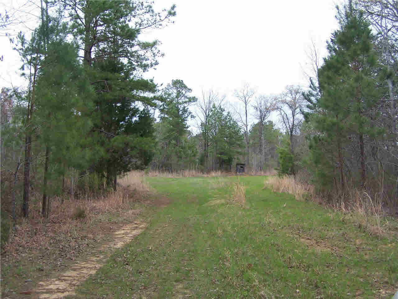 1 Damascus Church Road Durant, MS 39063 - Photo 5 of 24 Photo 5