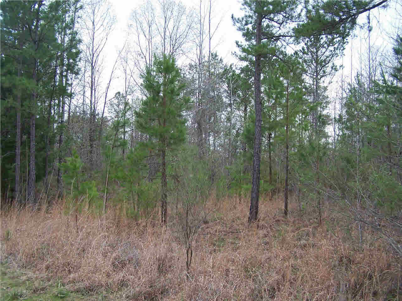 1 Damascus Church Road Durant, MS 39063 - Photo 6 of 24 Photo 6
