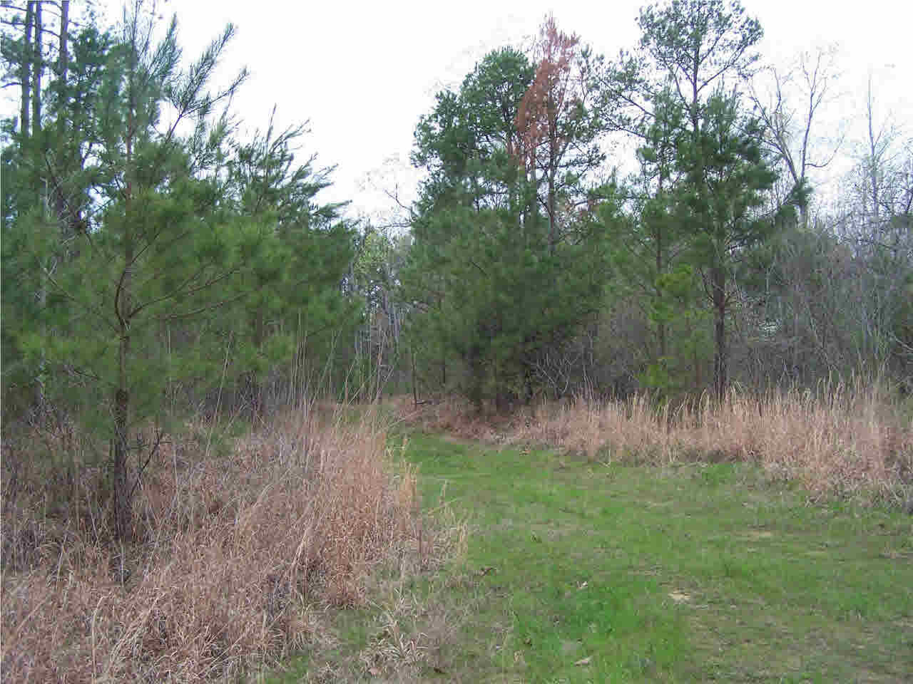1 Damascus Church Road Durant, MS 39063 - Photo 7 of 24 Photo 7