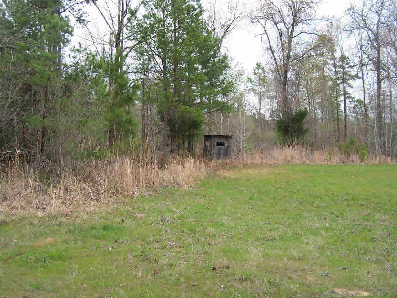 1 Damascus Church Road Durant, MS 39063 - Photo 8 of 24 Photo 8