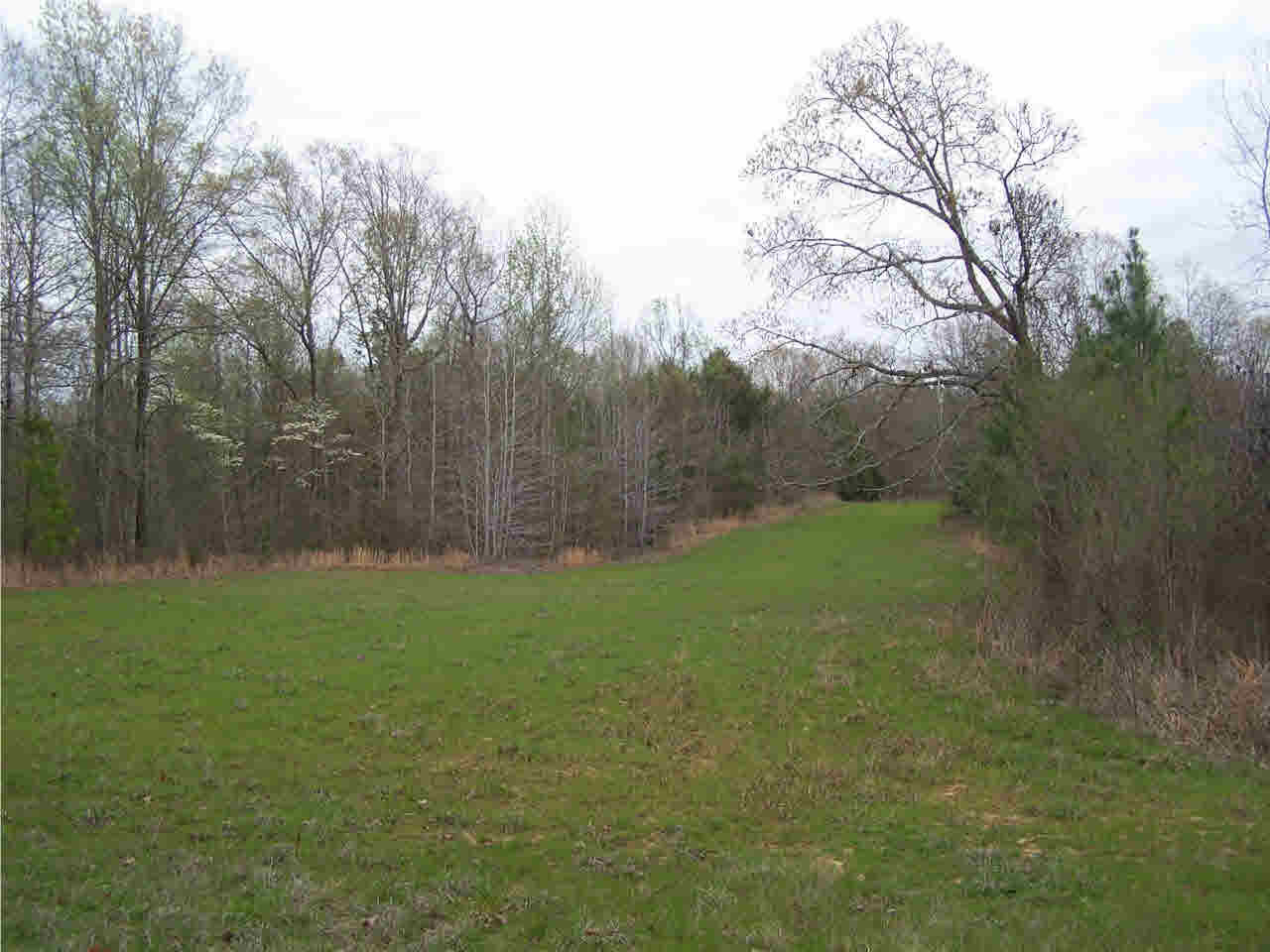 1 Damascus Church Road Durant, MS 39063 - Photo 9 of 24 Photo 9