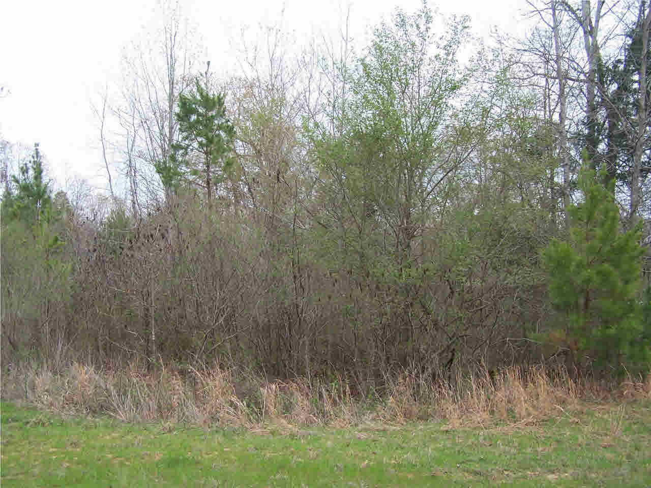 1 Damascus Church Road Durant, MS 39063 - Photo 10 of 24 Photo 10