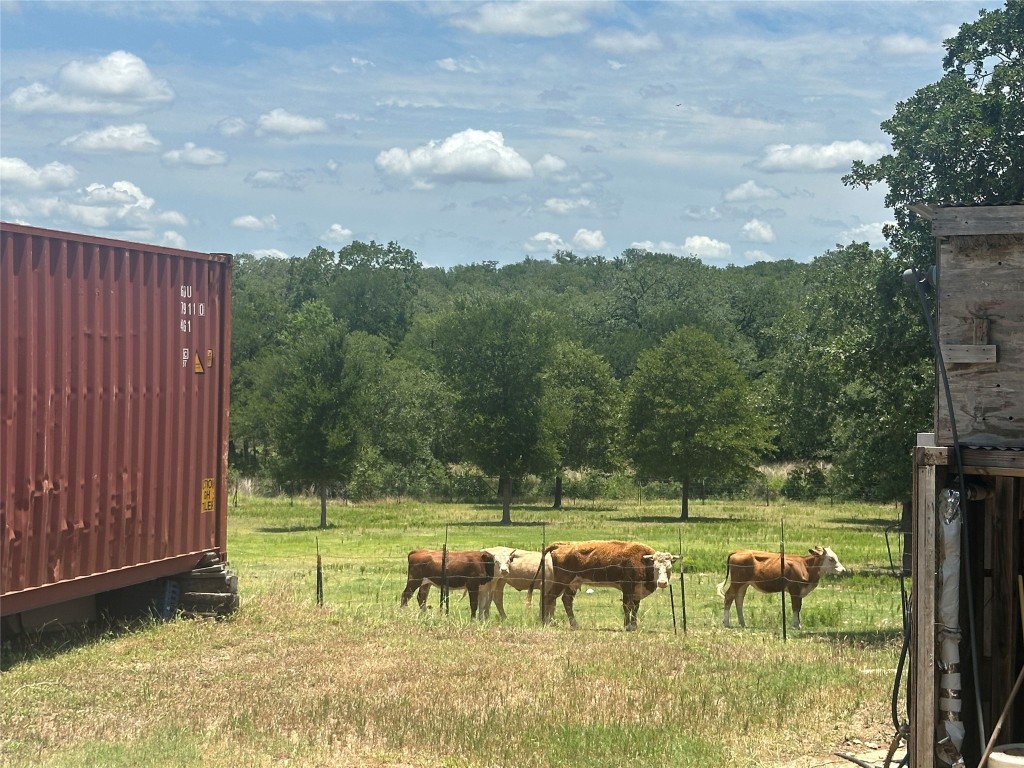 1231 Oak Grove Road Luling, TX 78648 - Photo 28 of 40 a view of a lake with a yard