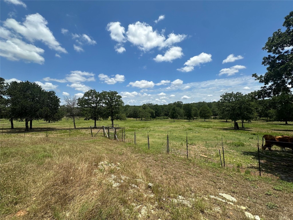 1231 Oak Grove Road Luling, TX 78648 - Photo 29 of 40 a view of a park with large trees