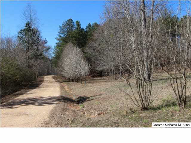181 Appletree Road Goodwater, AL 35072 - Photo 3 of 11