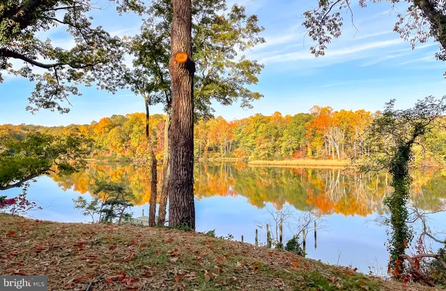 a view of a lake with a mountain in the background