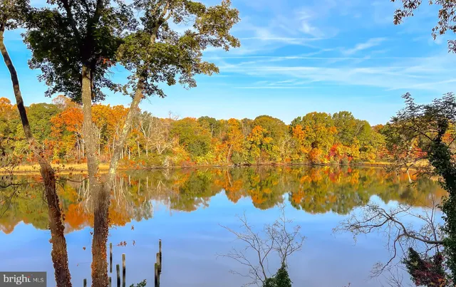 an empty room with wooden floor fireplace and windows