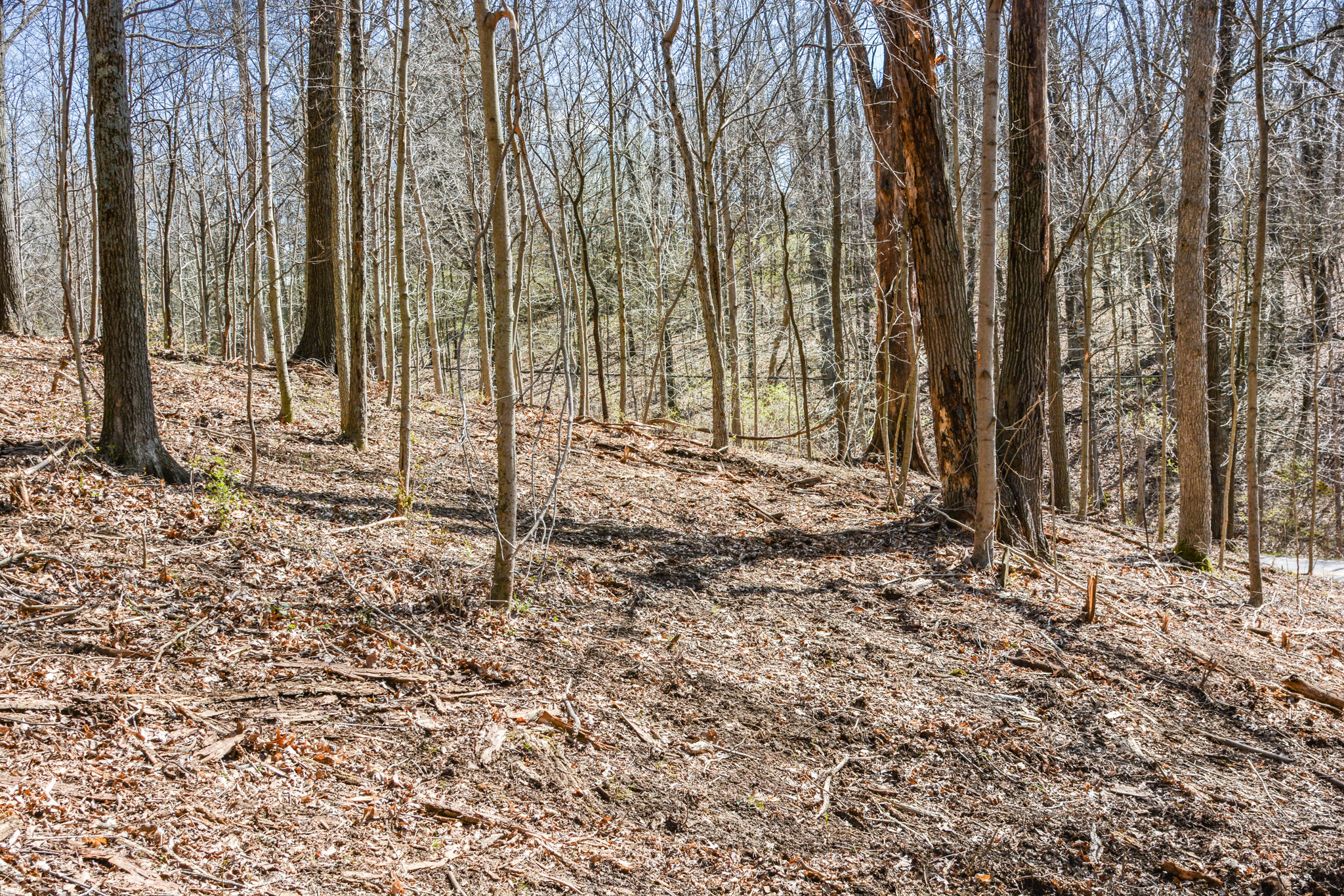 Lot 1 Idlewild Road Burlington, KY 41005 - Photo 21 of 24 Gallery Image 21