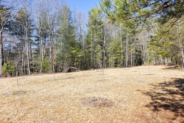 $399,000 | 1578 Horse Creek Park Road, Chuckey, TN 37641