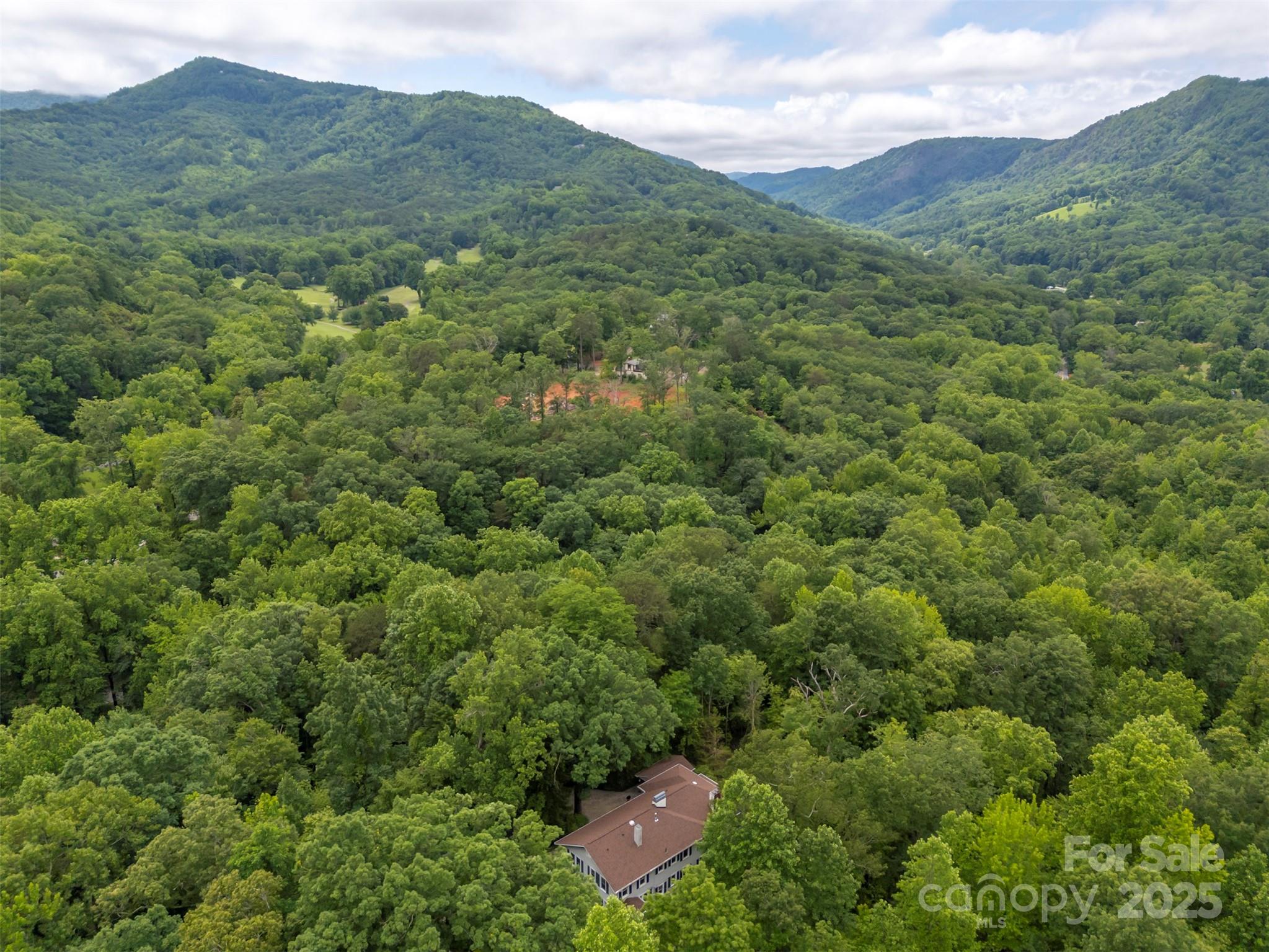 93 Villa Barbara Lane Tryon, NC 28782 - Photo 47 of 48