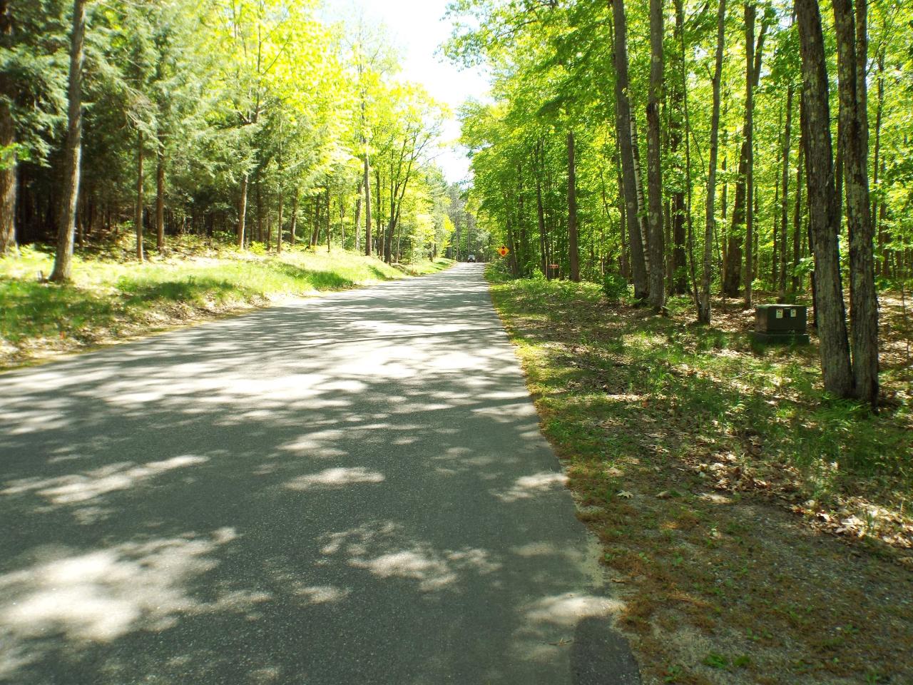 7343 Wheeler Island Road Three Lakes, WI 54562 - Photo 10 of 22 Gallery Image 10