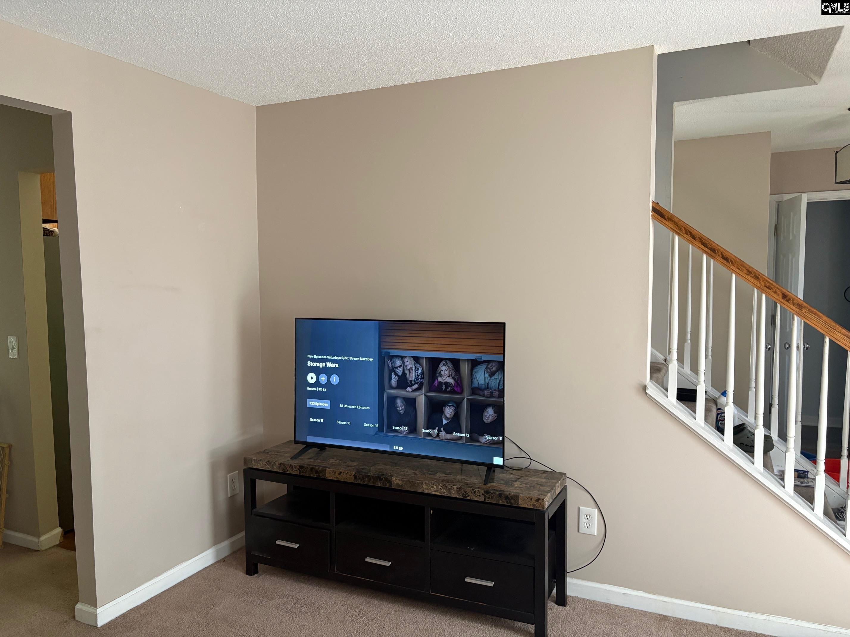 321 Concord Pl Road Irmo, SC 29063 - Photo 8 of 25