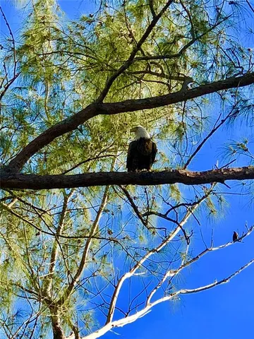 $1,375,000 | 8798 Grand Avenue, Placida, FL 33946