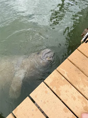 $1,375,000 | 8798 Grand Avenue, Placida, FL 33946