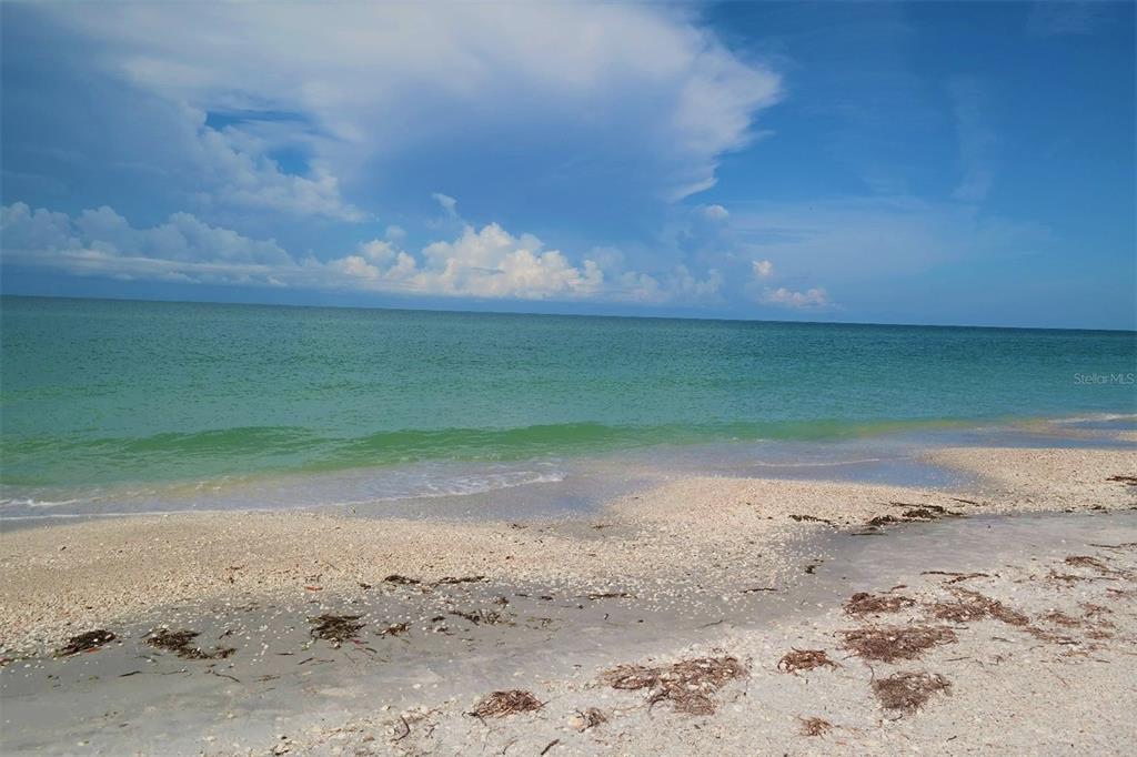 8798 Grand Avenue Boca Grande, FL 33921 - Photo 64 of 64 a view of a yard