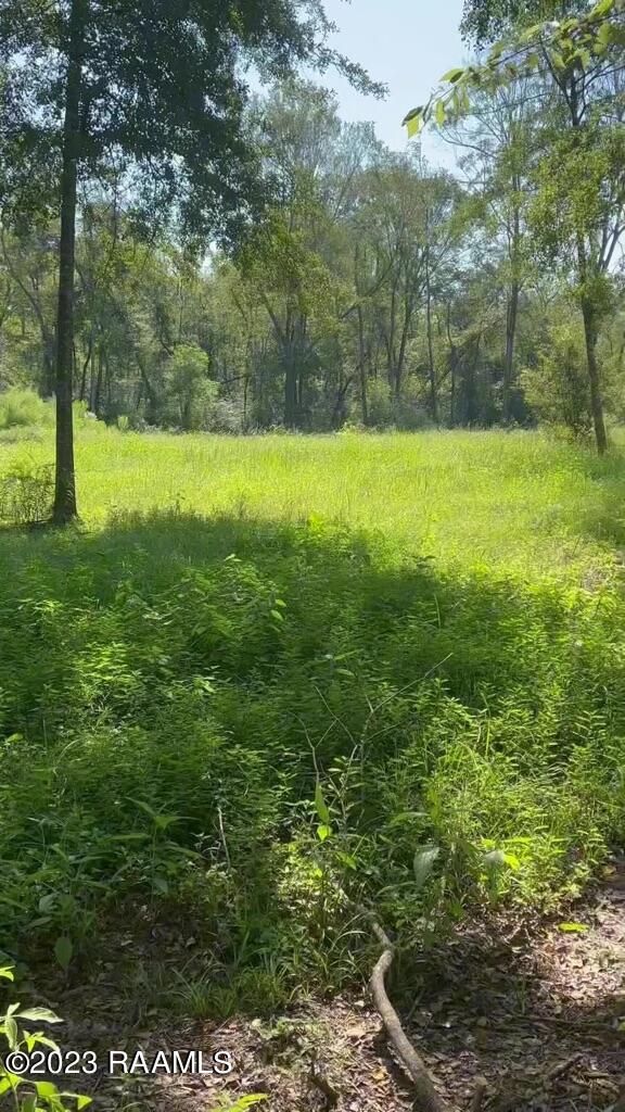 903 Benoit Road Carencro, LA 70520 - Photo 2 of 14 Gallery Image 2