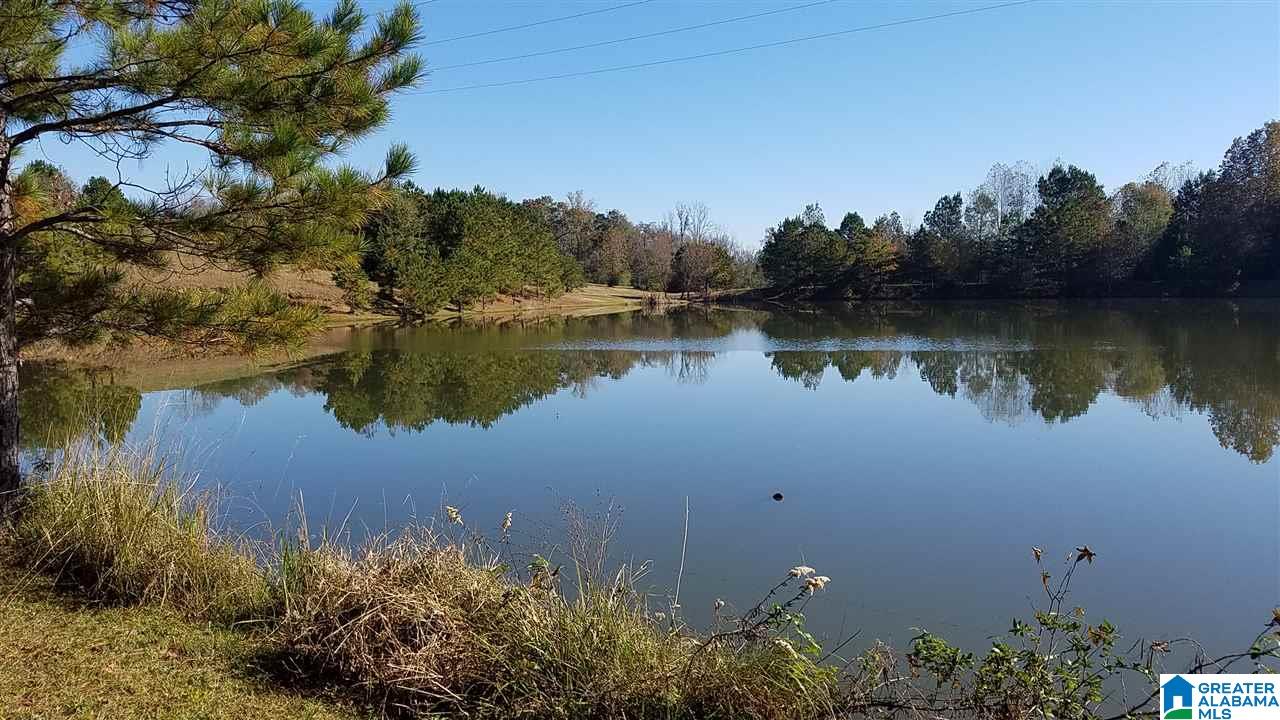 298 Bowerman Road Blountsville, AL 35031 - Photo 13 of 30