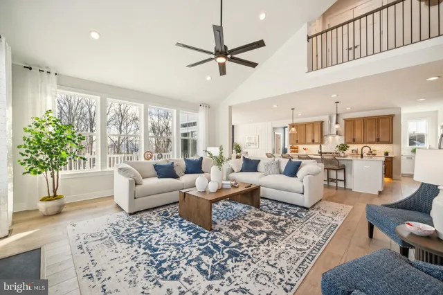 a living room with furniture or couch and a potted plant