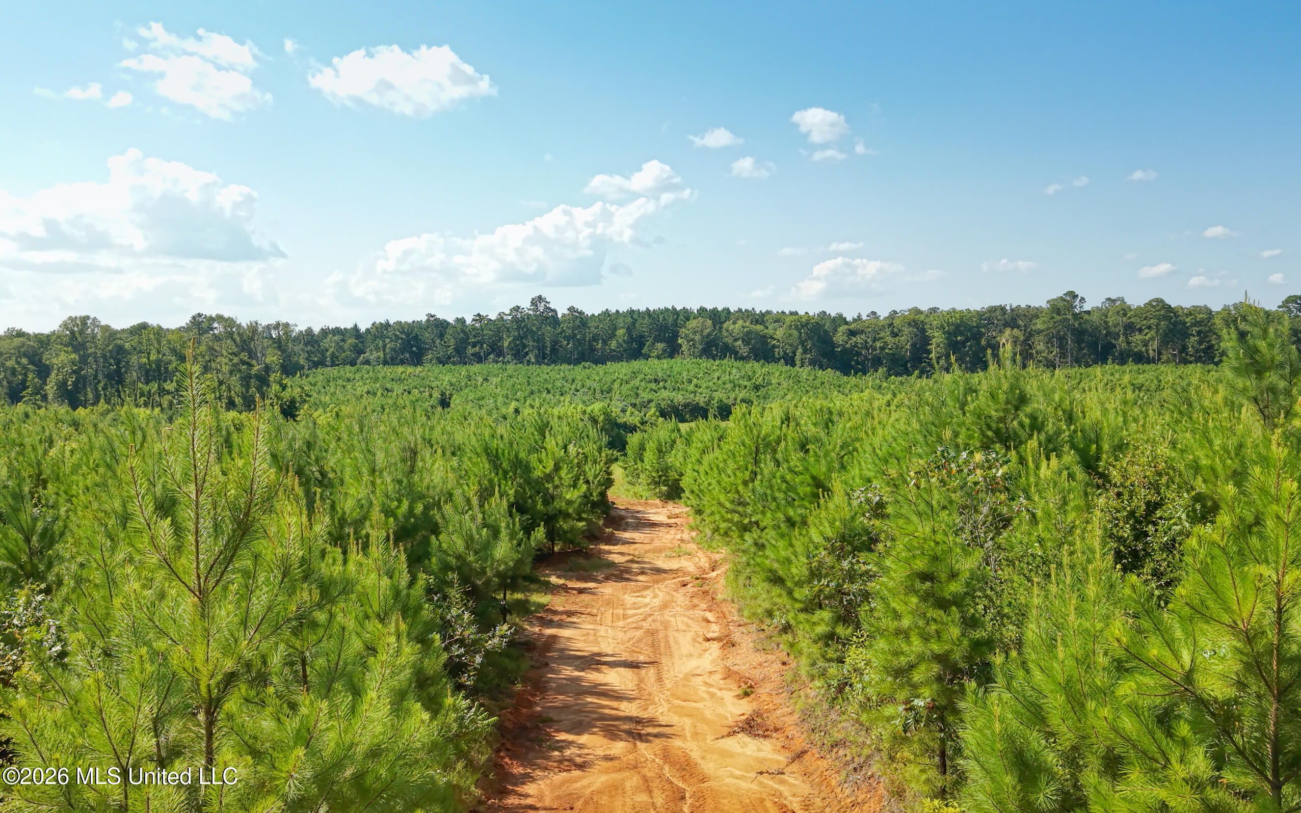 Lower Liberty Gloster Road Liberty, MS 39645 - Photo 16 of 45 103+_- Acres roads 2
