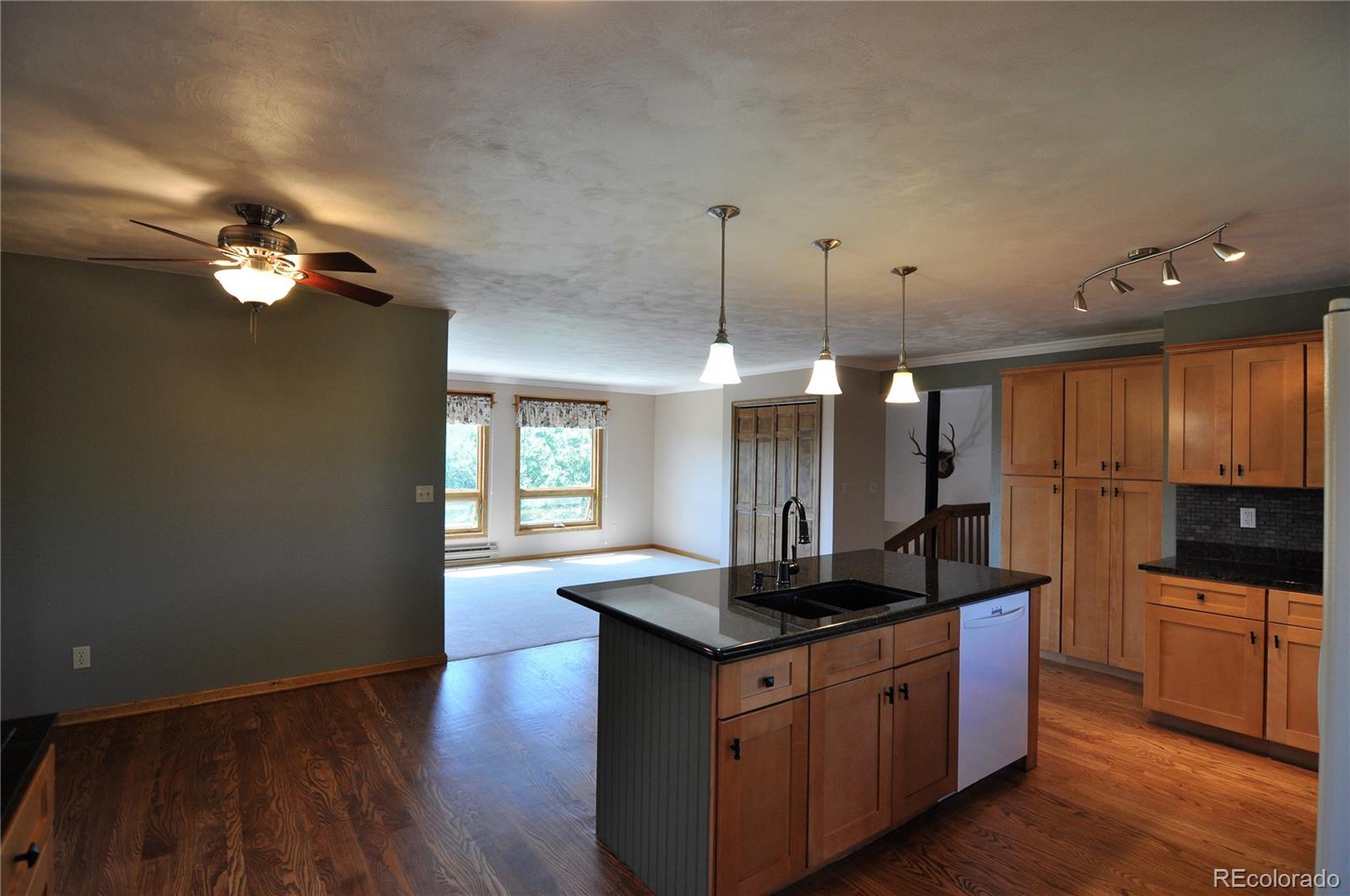 4330 Red Forest Road Monument, CO 80132 - Photo 11 of 37