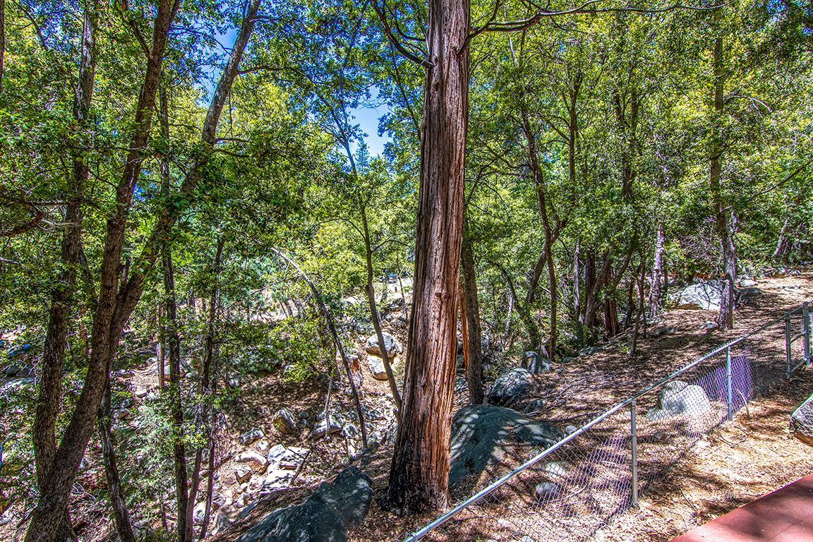 25670 Glen Road Idyllwild, CA 92549 - Photo 25 of 66 Untitled