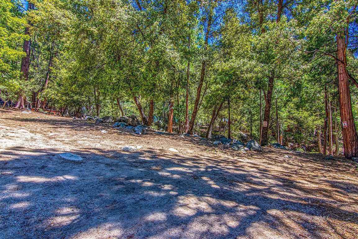 25670 Glen Road Idyllwild, CA 92549 - Photo 50 of 66 a view of a yard with trees