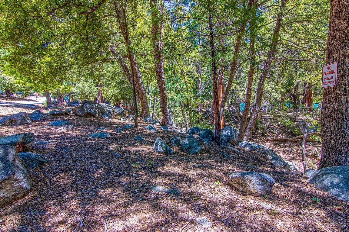 25670 Glen Road Idyllwild, CA 92549 - Photo 51 of 66 a view of a forest with trees in the background