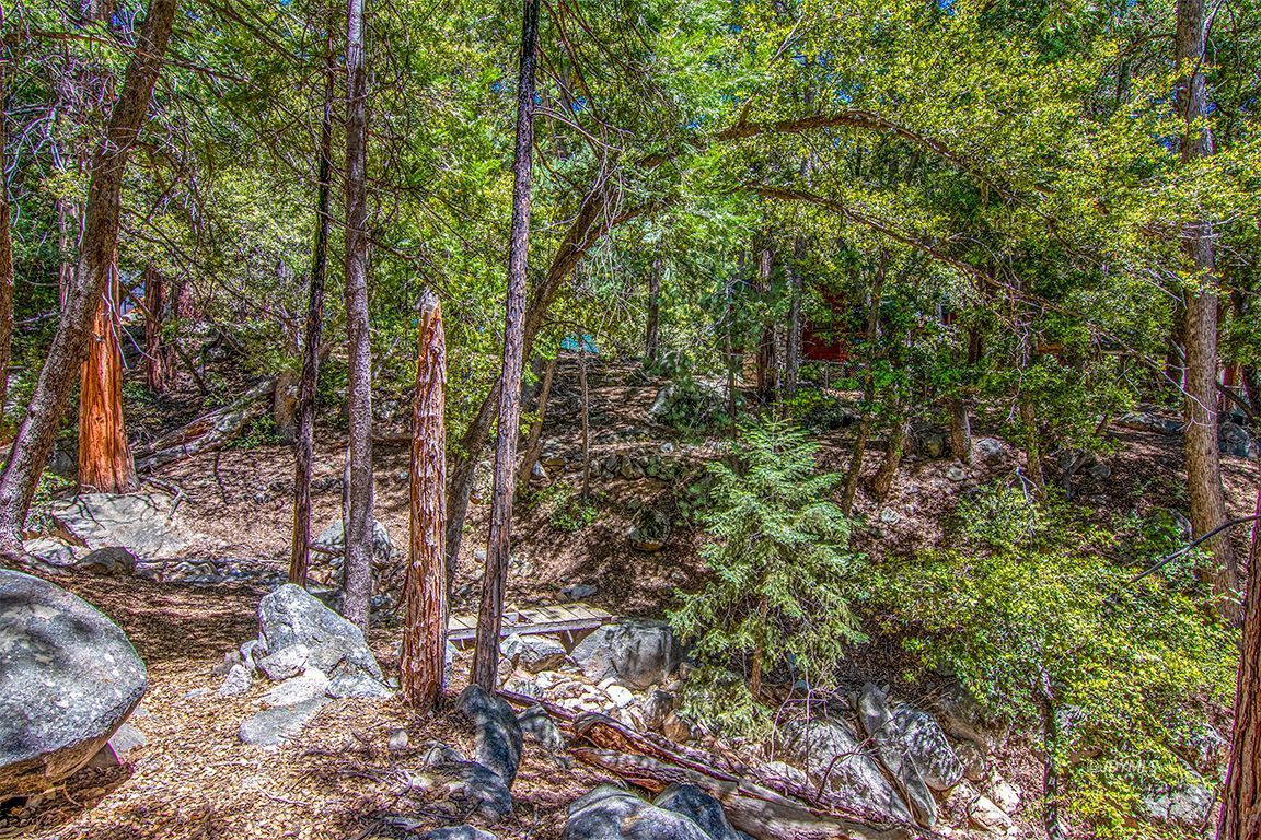 25670 Glen Road Idyllwild, CA 92549 - Photo 52 of 66 a view of a forest with trees