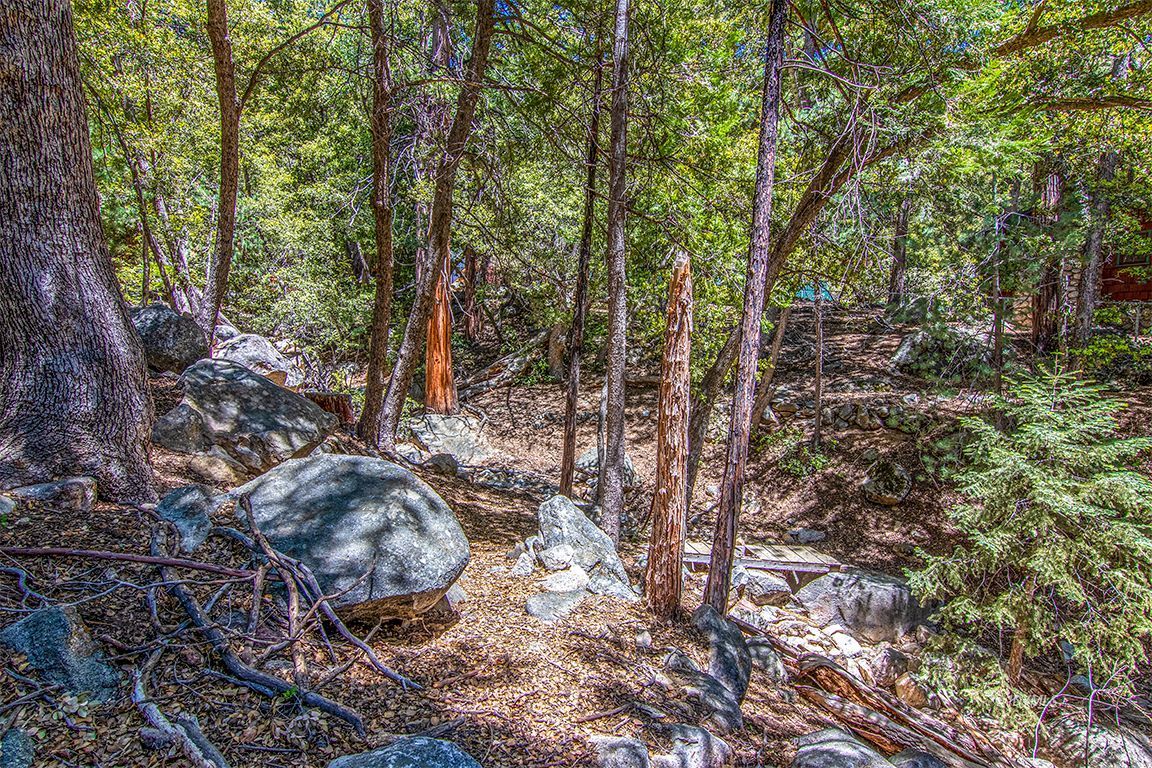 25670 Glen Road Idyllwild, CA 92549 - Photo 53 of 66 a view of a forest with trees