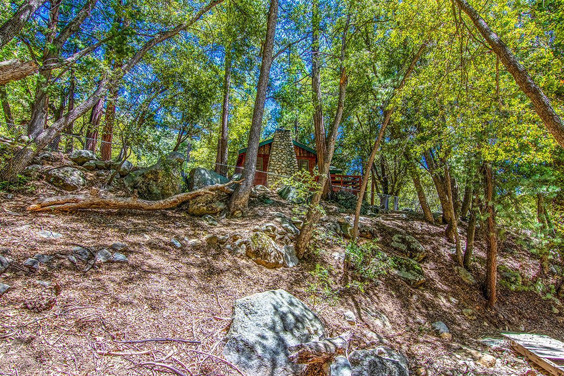 25670 Glen Road Idyllwild, CA 92549 - Photo 55 of 66 a backyard of a house with lots of plants and large tree