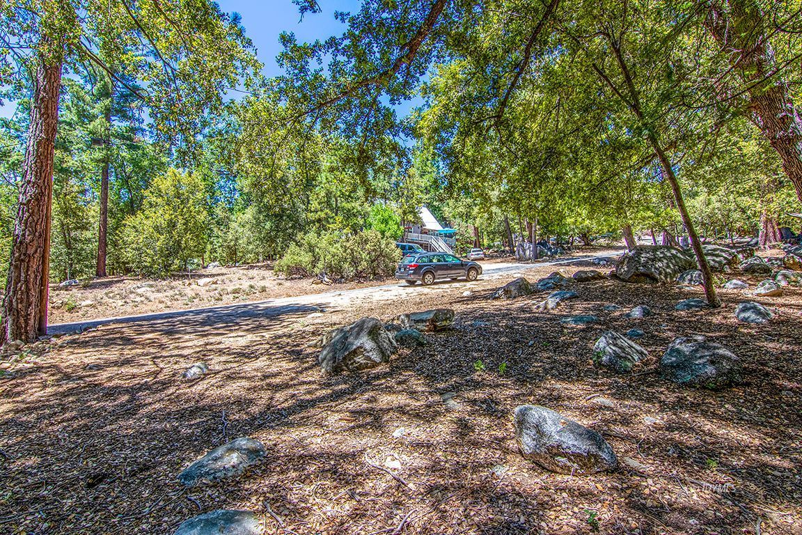 25670 Glen Road Idyllwild, CA 92549 - Photo 57 of 66 a view of a yard with plants and trees