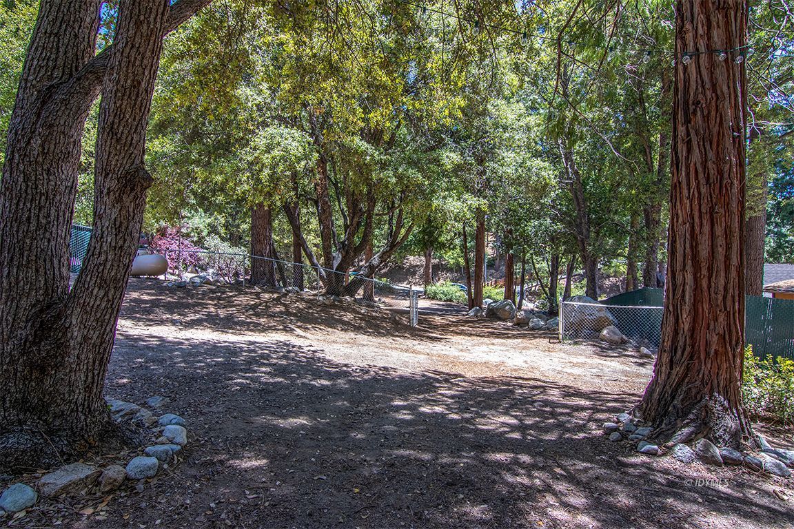 25670 Glen Road Idyllwild, CA 92549 - Photo 59 of 66 a view of a tree in the middle of a yard