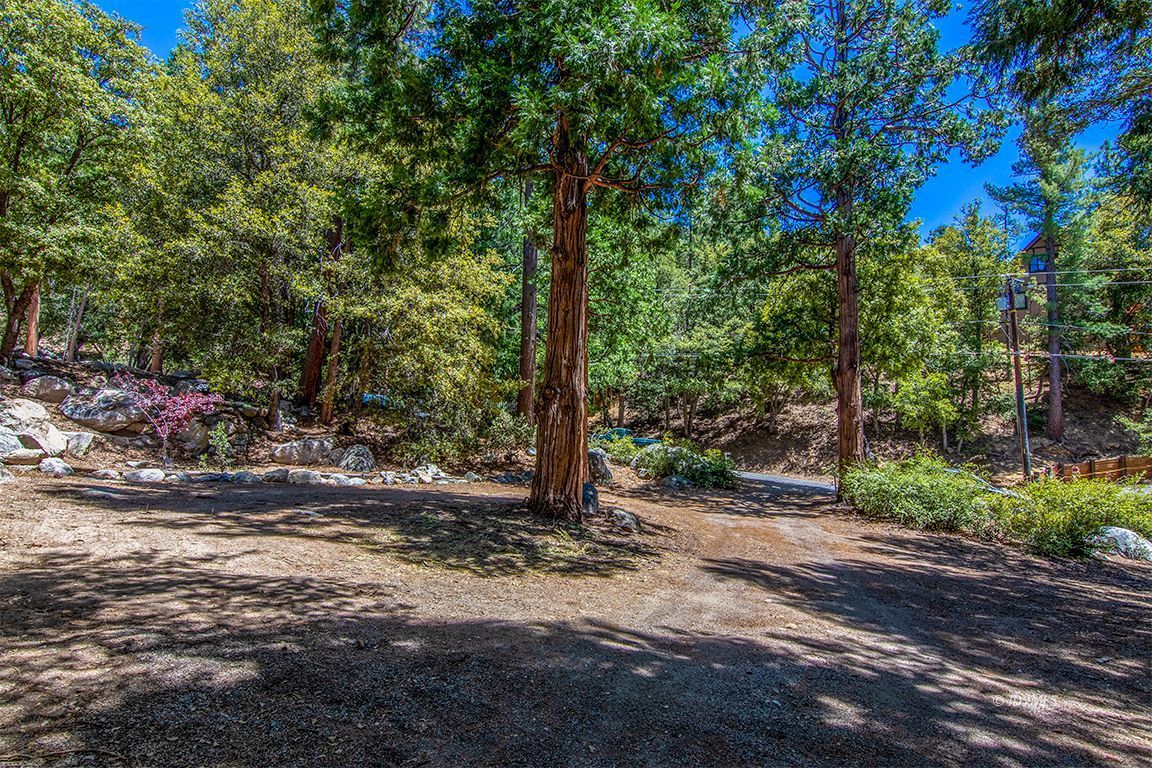 25670 Glen Road Idyllwild, CA 92549 - Photo 60 of 66 a view of a road with plants and large trees