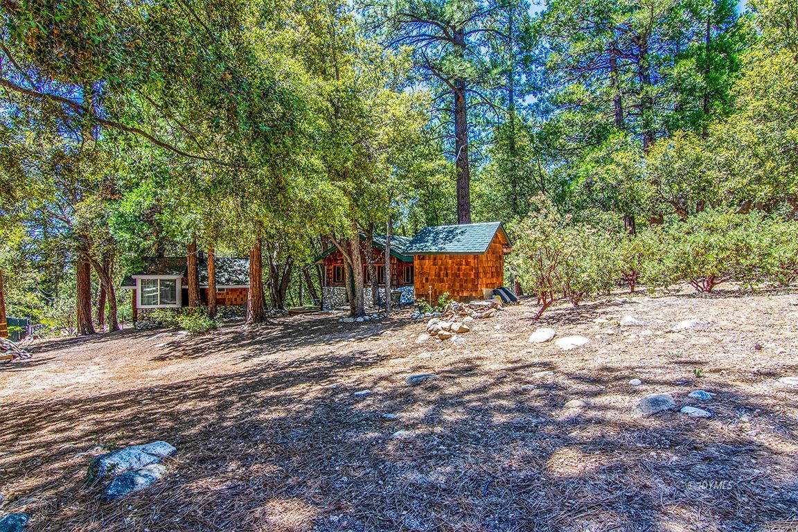 25670 Glen Road Idyllwild, CA 92549 - Photo 61 of 66 a view of a outdoor space with trees and plants