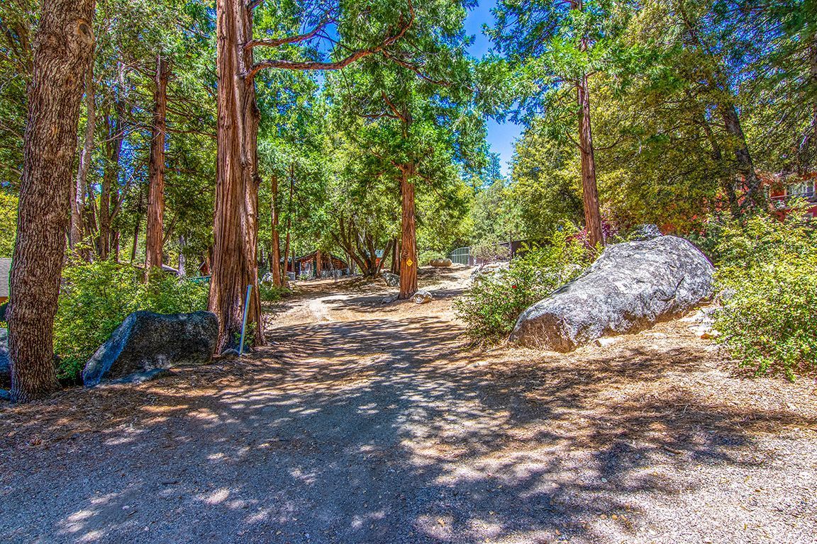 25670 Glen Road Idyllwild, CA 92549 - Photo 62 of 66 a view of a trees with a tree