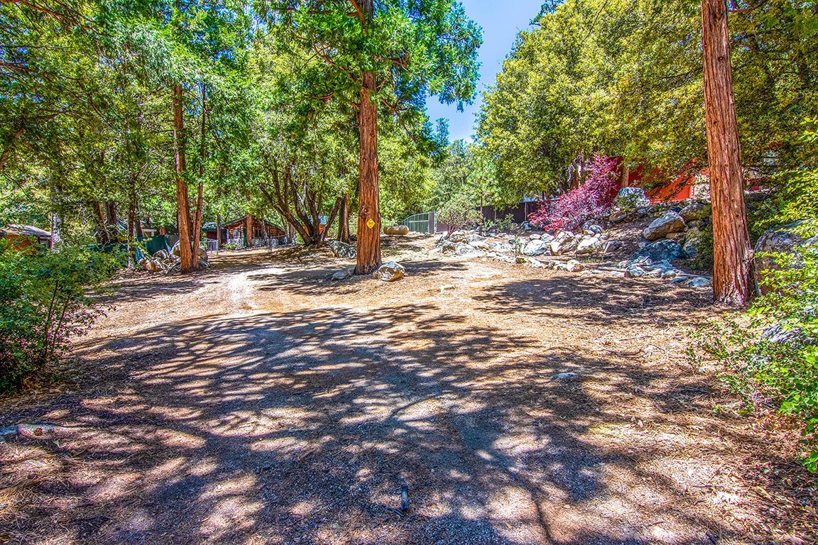 25670 Glen Road Idyllwild, CA 92549 - Photo 63 of 66 a view of a yard with plants and trees