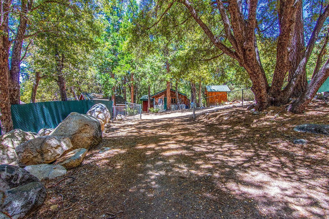 25670 Glen Road Idyllwild, CA 92549 - Photo 64 of 66 a backyard of a house with table and chairs