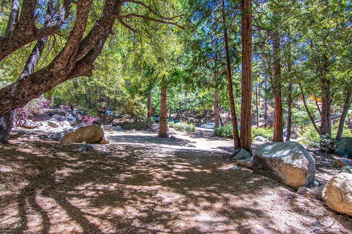 25670 Glen Road Idyllwild, CA 92549 - Photo 65 of 66 a view of a tree in the middle of a yard