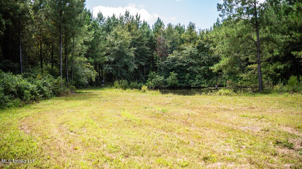4069 Dixie Garden Road Wesson, MS 39191 - Photo 36 of 45 ZTS05955 Large