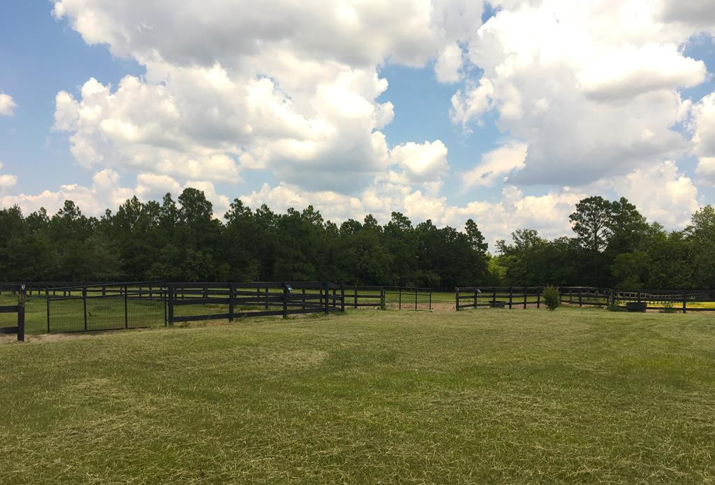 405 Cadle Crossing Road Windsor, SC 29856 - Photo 34 of 43