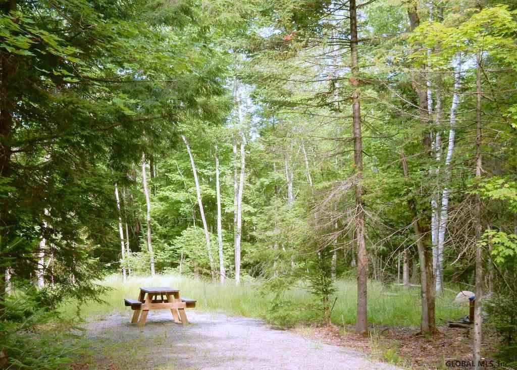 5 Pinewoods Road Chestertown, NY 12817 - Photo 4 of 11 Photo 4