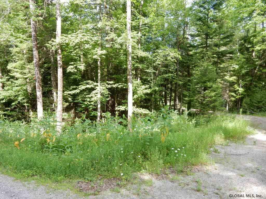 5 Pinewoods Road Chestertown, NY 12817 - Photo 5 of 11 Photo 5