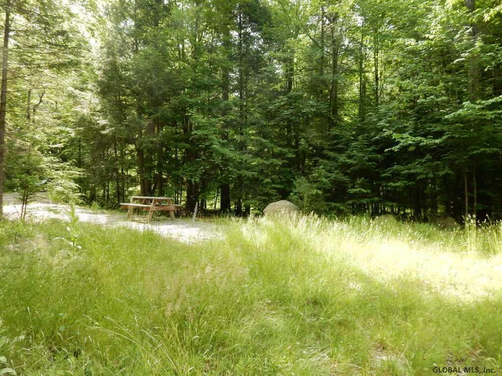 5 Pinewoods Road Chestertown, NY 12817 - Photo 8 of 11 Photo 8