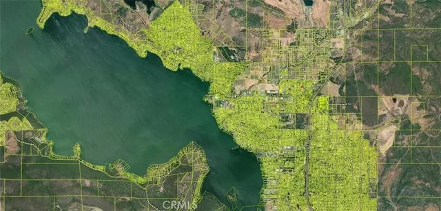 a view of a plant in a garden