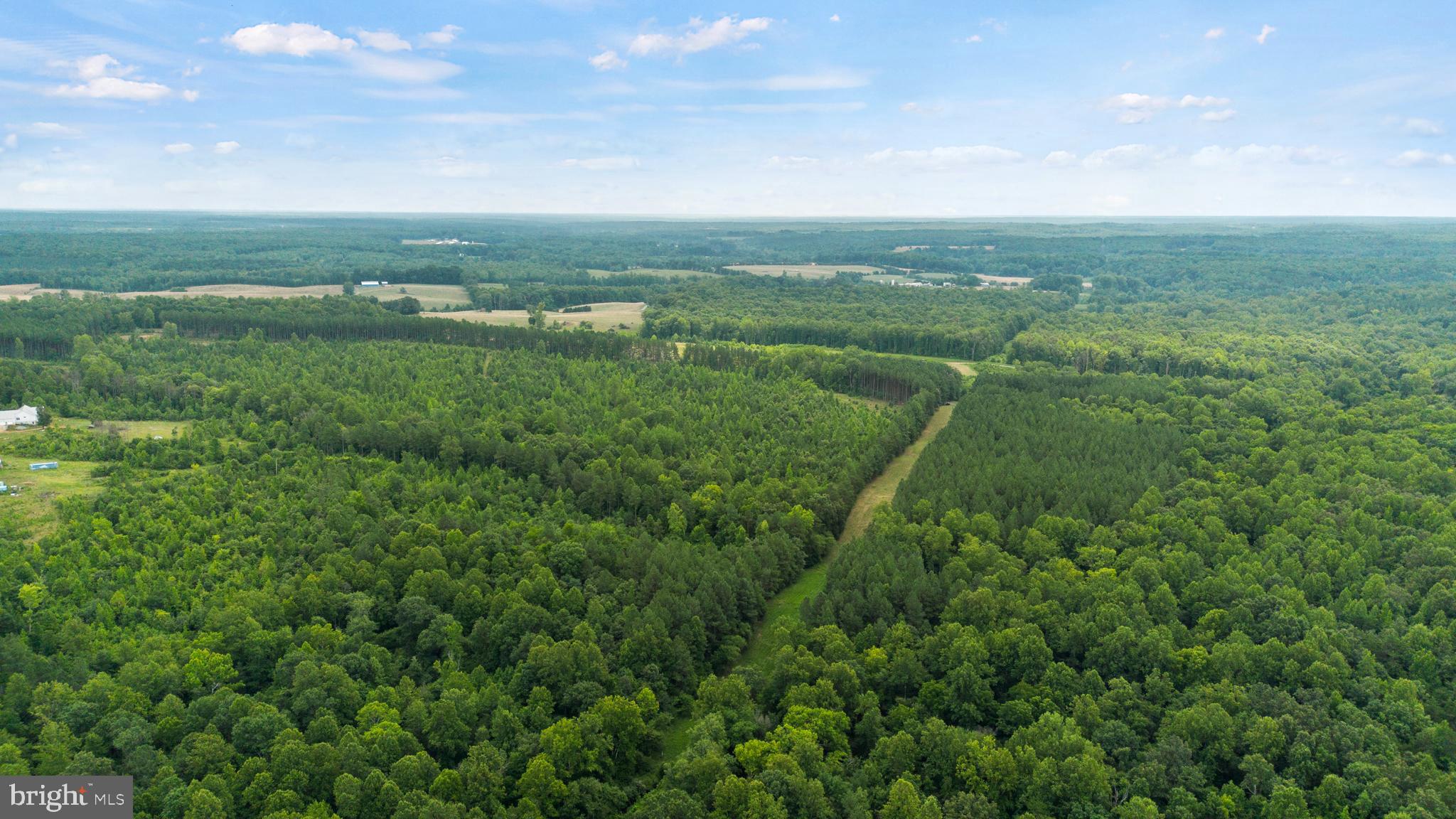 362 Dell Perkins Road Louisa, VA 23093 - Photo 19 of 92 Gallery Image 19