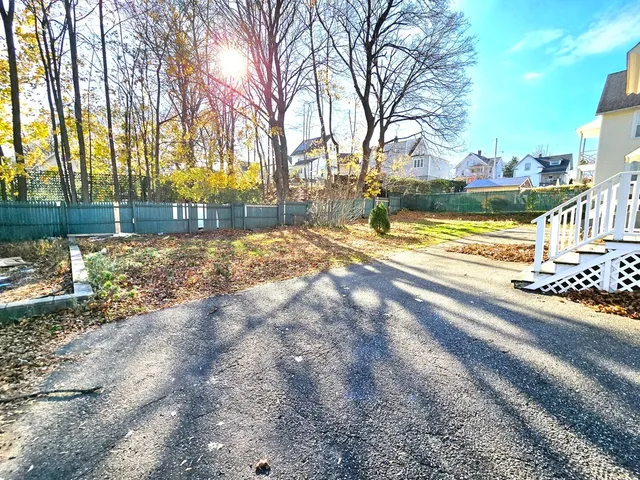 a view of a yard with plants and trees