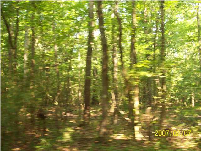 Spillway Rd Ville Ville Platte, LA 70586 - Photo 5 of 8 Gallery Image 5