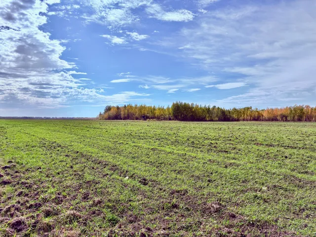 $287,580 | Tbd Tbd 13th Avenue Southwest, Baudette, MN 56623